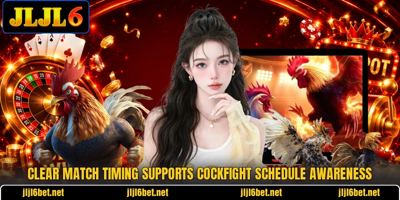 Clear match timing supports cockfight schedule awareness