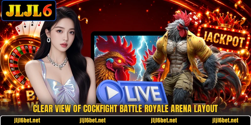 Clear view of cockfight battle royale arena layout