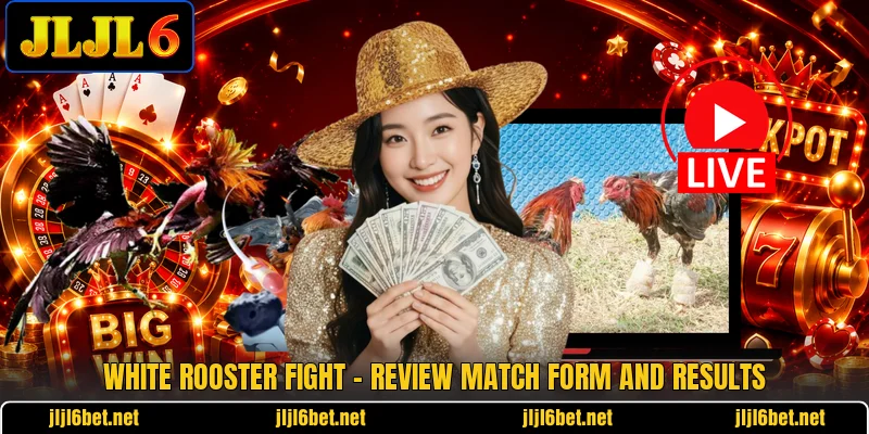 White Rooster Fight - Review Match Form And Results